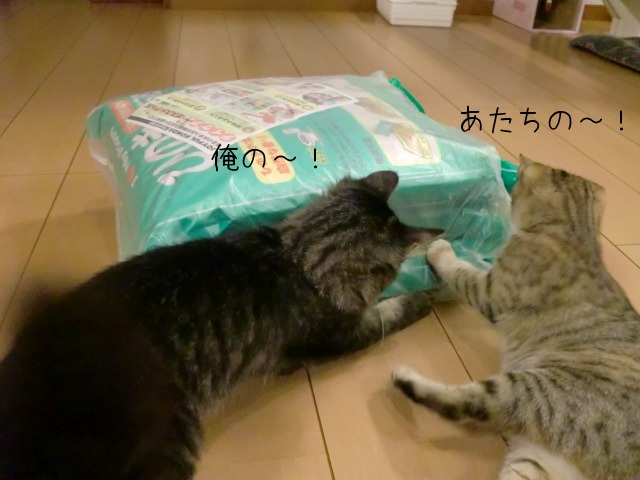 c0259945_1771293.jpg