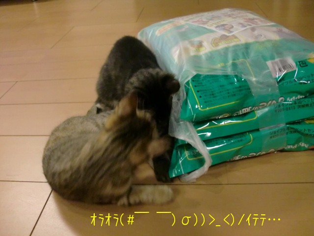 c0259945_1775917.jpg