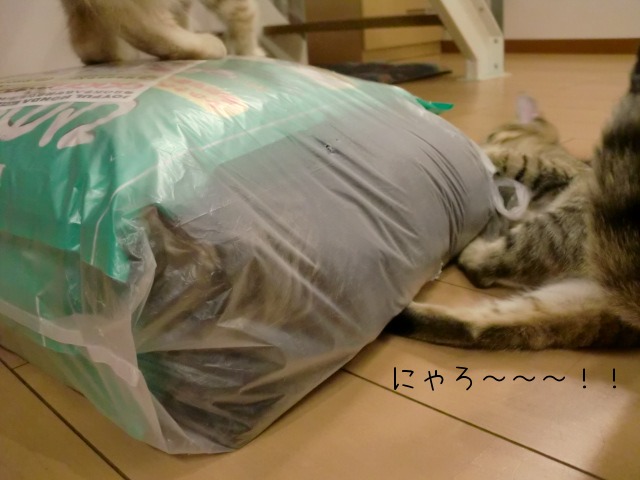 c0259945_1783444.jpg