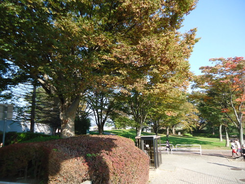 a0099446_20144390.jpg