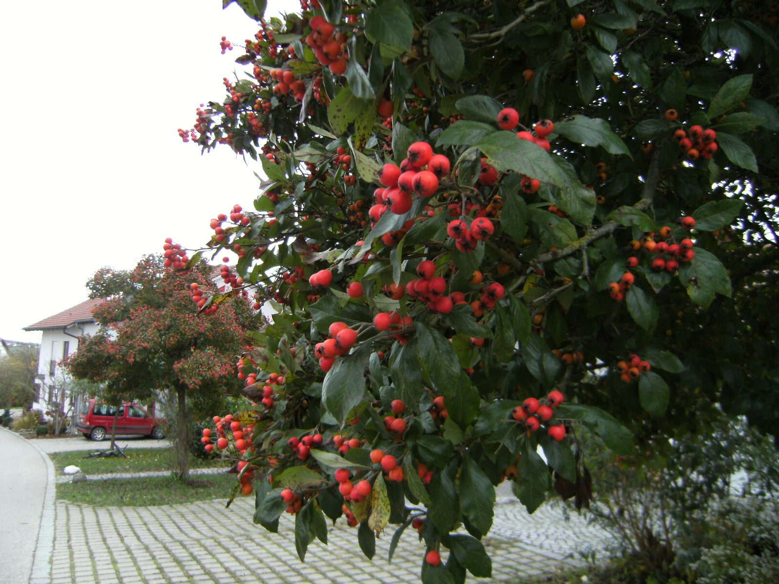 f0286647_23304858.jpg