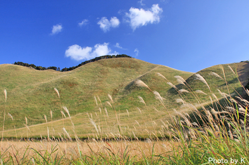 c0127748_15123177.jpg
