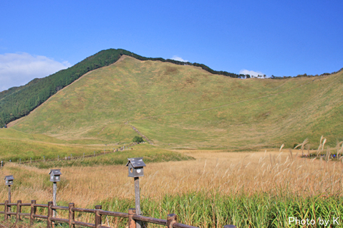 c0127748_1513860.jpg