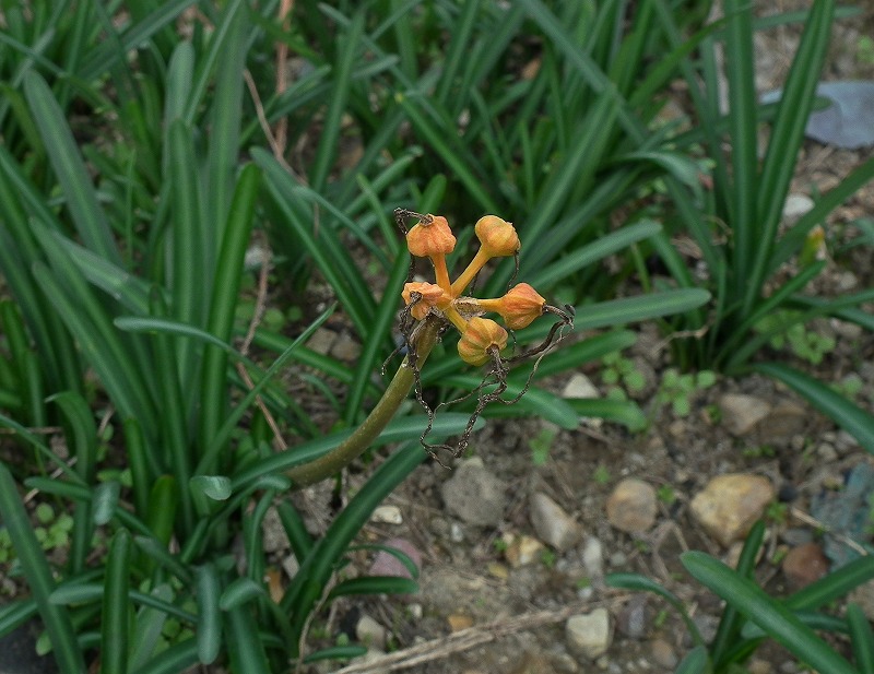 a0018655_20564920.jpg