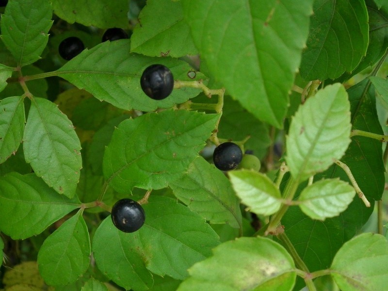 a0018655_2101838.jpg