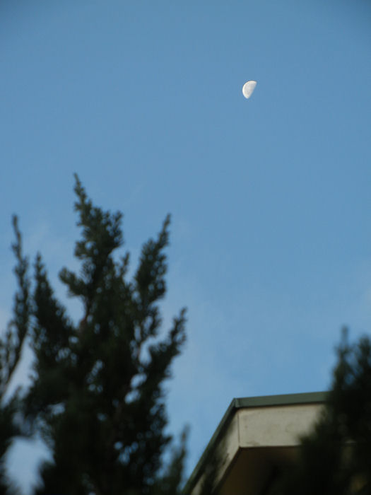 c0122455_1782567.jpg