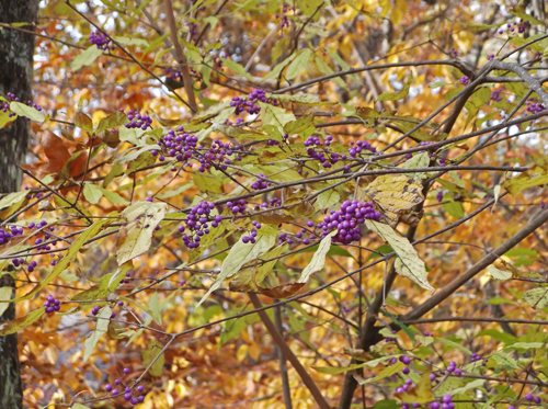 b0045357_9222976.jpg