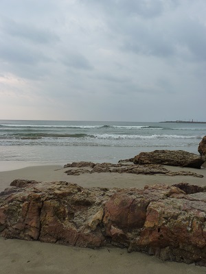 d0173057_21522941.jpg