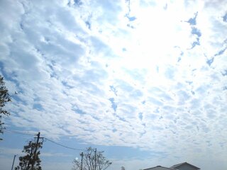 秋と音育児_b0226863_11334434.jpg