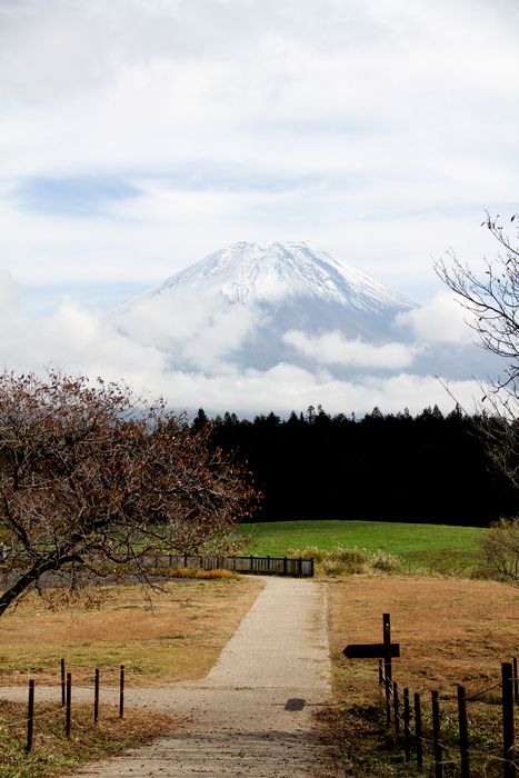 深秋の富士山_d0142669_15185034.jpg