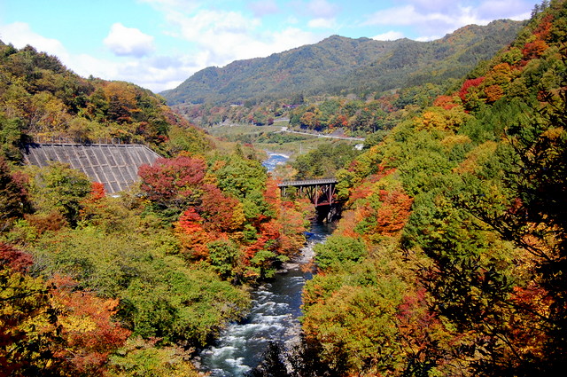 d0172270_026501.jpg