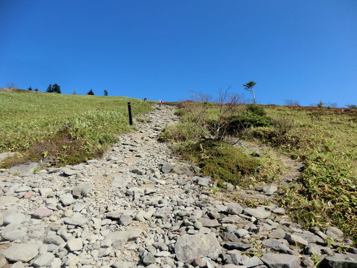 b0185573_7982.jpg