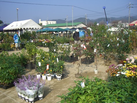 e0240973_10164871.jpg
