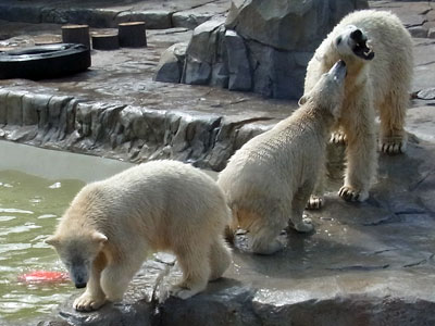 f0083977_957513.jpg