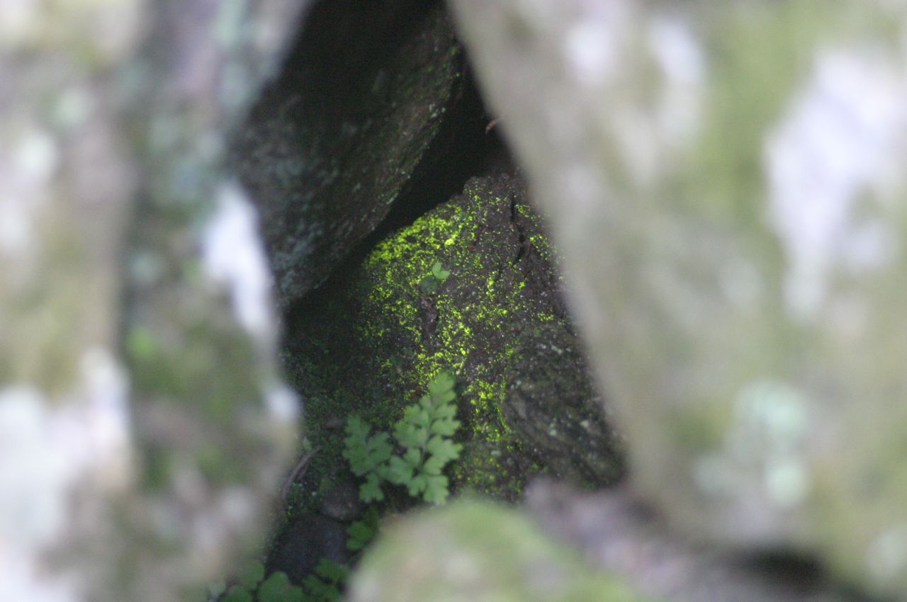 f0124378_22123595.jpg