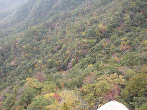 f0223480_16154960.jpg