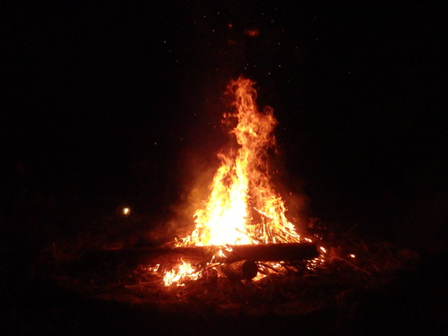 f0223480_161789.jpg