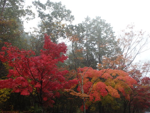 f0223480_16224792.jpg