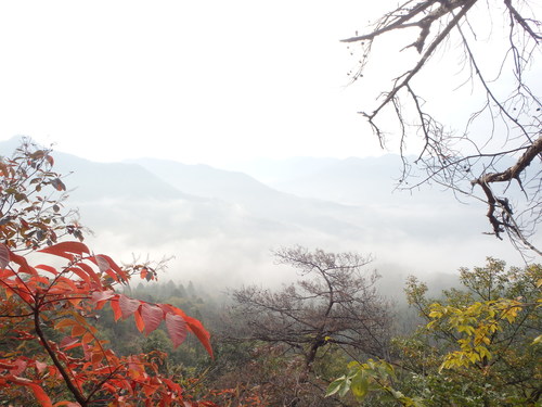 f0223480_1661950.jpg