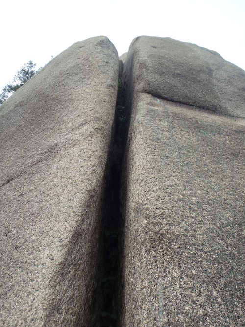 f0223480_1674530.jpg
