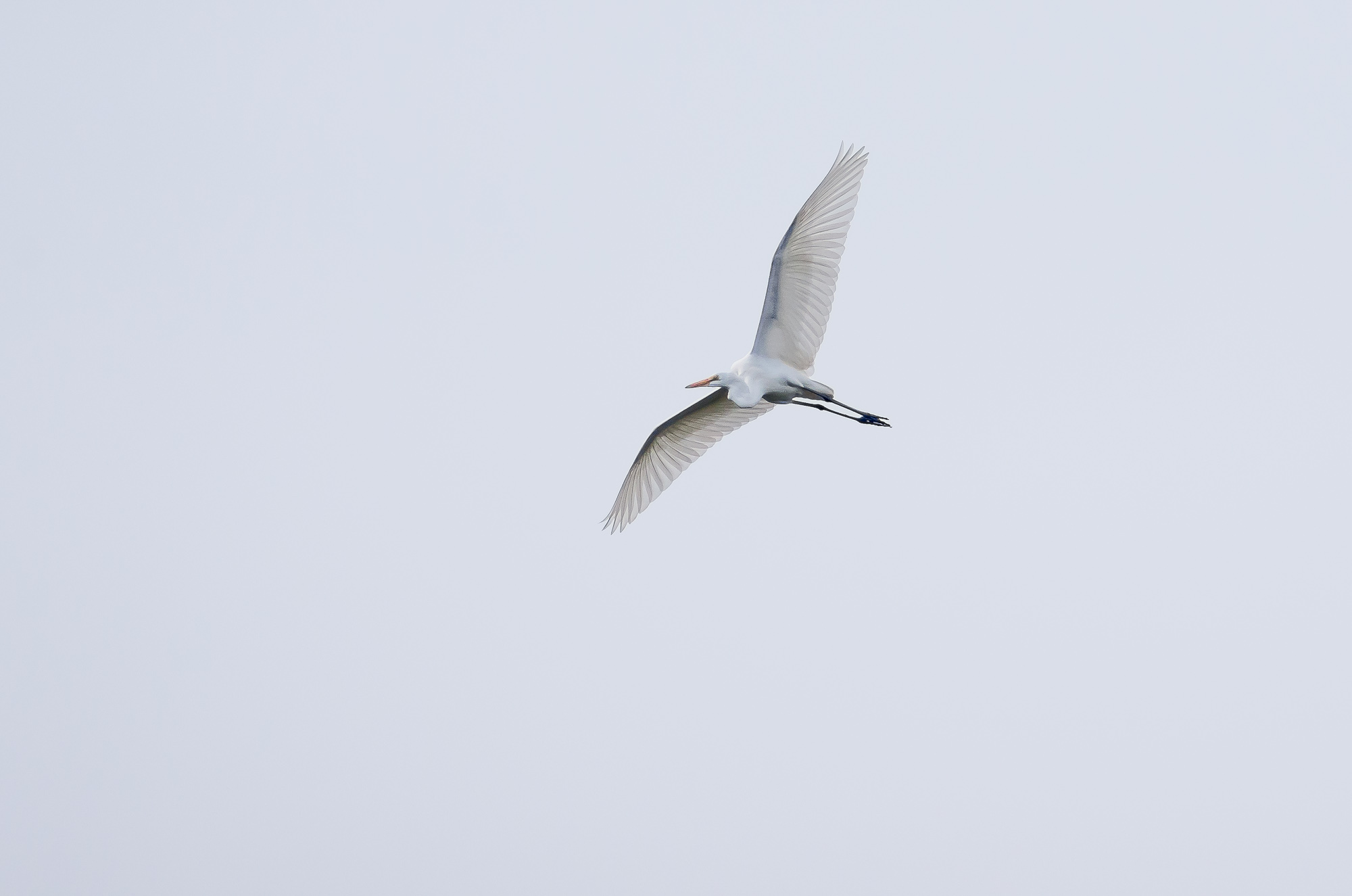 f0254180_20135887.jpg