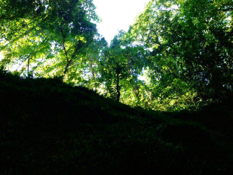 高知県トレイルランニングトリップ Day.2 伊尾木洞ー東山森林公園_b0220886_10473597.jpg
