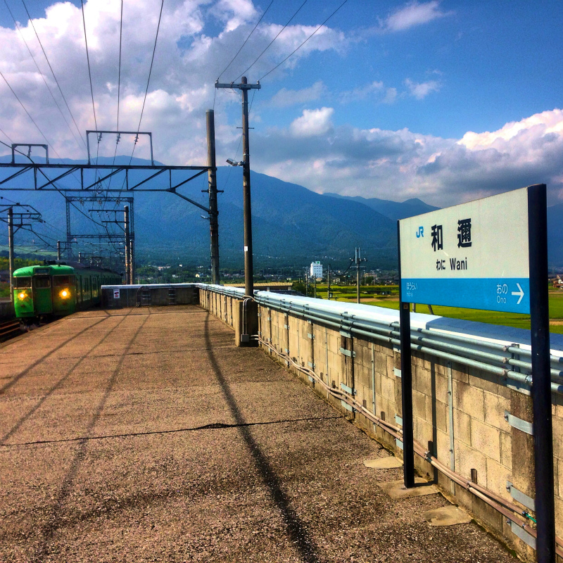 比良山縦走トレイルランニング 2013/09/10 _b0220886_1503634.jpg
