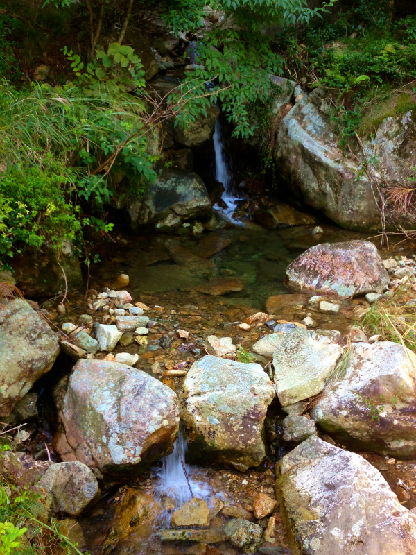 2013/09/25 兵庫県白髪岳トレイルランニング_b0220886_18412637.jpg