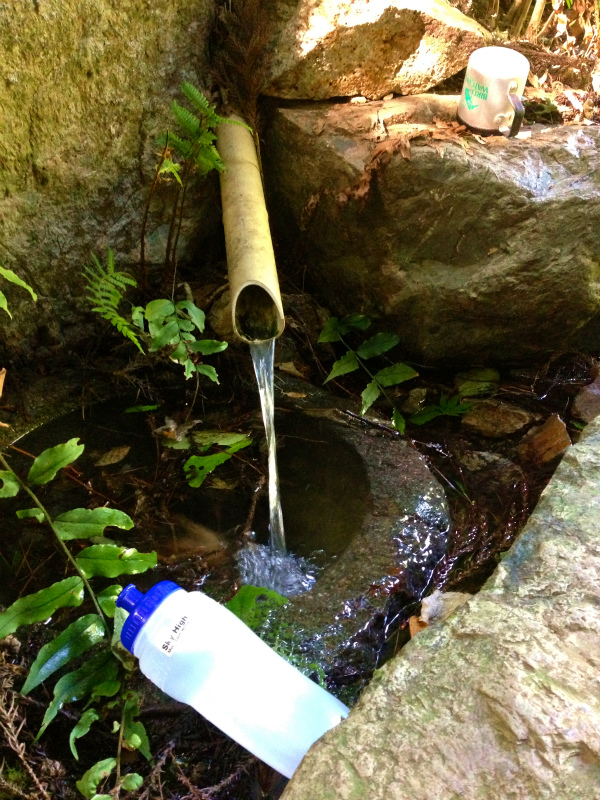 2013/09/25 兵庫県白髪岳トレイルランニング_b0220886_18413561.jpg