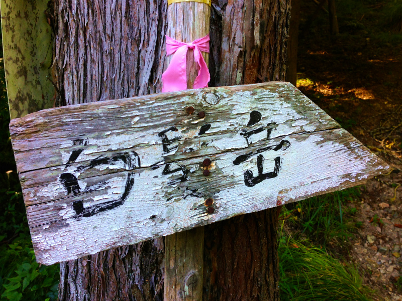 2013/09/25 兵庫県白髪岳トレイルランニング_b0220886_1844244.jpg