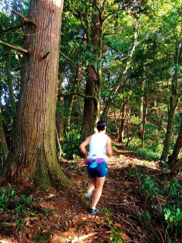 2013/09/25 兵庫県白髪岳トレイルランニング_b0220886_18491310.jpg