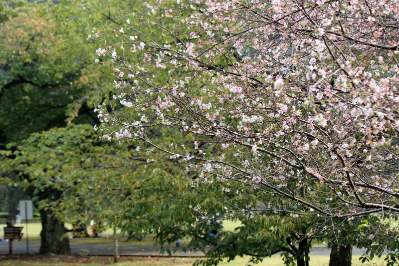 a0127090_21145968.jpg