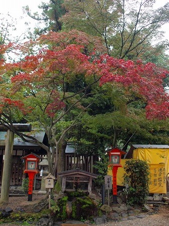 八坂神社と知恩院_a0152391_2033667.jpg