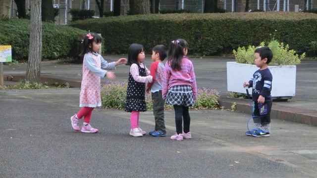 筑波学園都市の秋、楽天田中投手に期待すること、子供達と日本の秋、銀杏の綺麗な公園筑波学園都市公園_d0181492_1819128.jpg