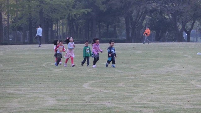 筑波学園都市の秋、楽天田中投手に期待すること、子供達と日本の秋、銀杏の綺麗な公園筑波学園都市公園_d0181492_18201770.jpg