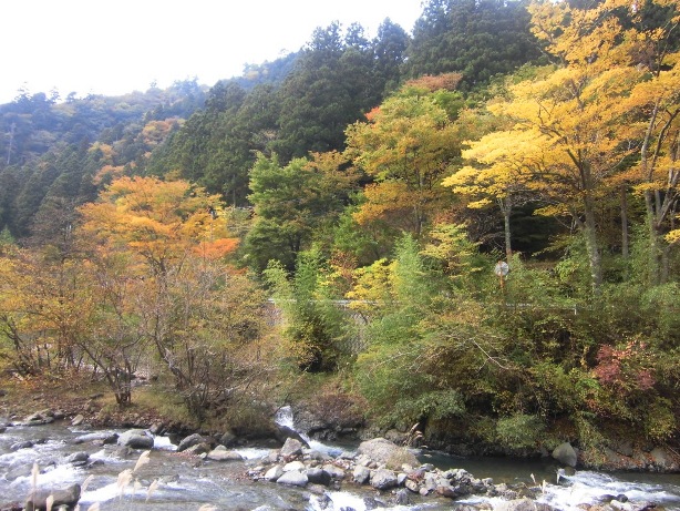 e0107493_2037677.jpg