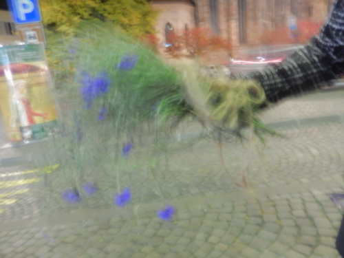 e0203793_4513355.jpg