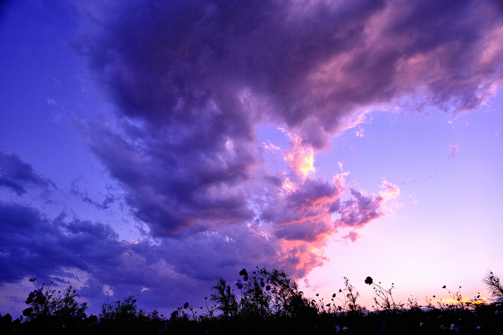 b0286898_22365245.jpg