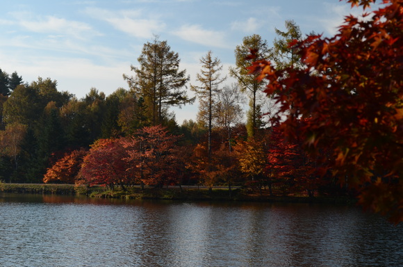 a0288500_1839162.jpg