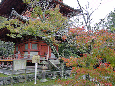 ご近所ラン、太山寺の紅葉はまだまだでした_b0108100_1632692.gif