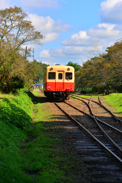 小湊鉄道　月崎駅♪_e0153701_22324989.jpg