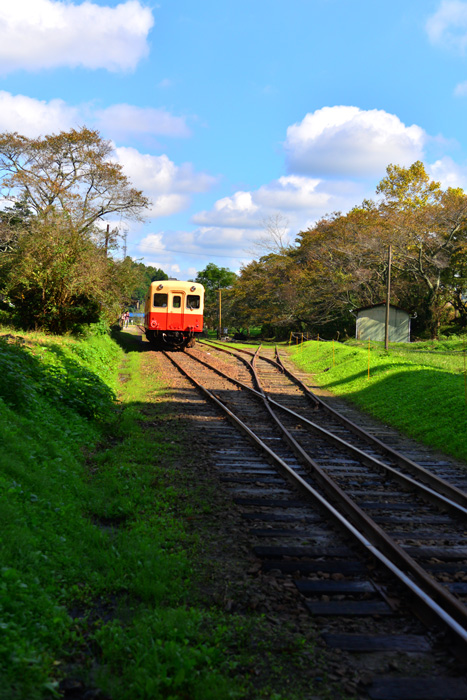 小湊鉄道　月崎駅♪_e0153701_22334697.jpg