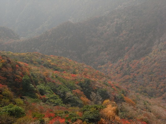 f0187402_2010204.jpg
