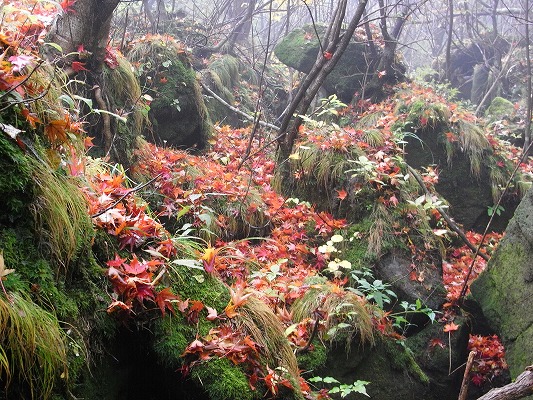 f0187402_2010279.jpg