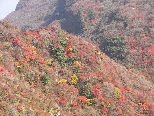 f0187402_20111438.jpg