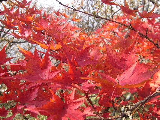 f0187402_20112289.jpg