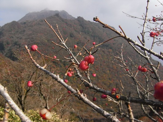 \'13-11：日本一「雲仙紅葉」_f0187402_20113094.jpg