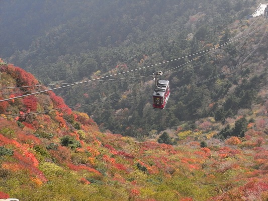 \'13-11：日本一「雲仙紅葉」_f0187402_20113838.jpg