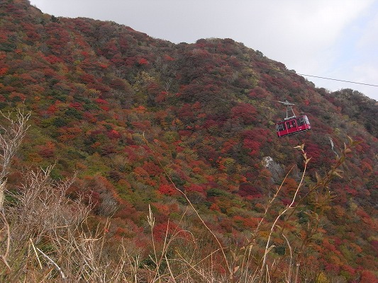 \'13-11：日本一「雲仙紅葉」_f0187402_20114814.jpg