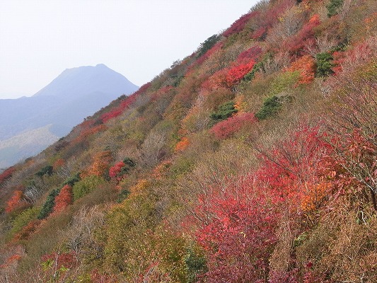 \'13-11：日本一「雲仙紅葉」_f0187402_20115915.jpg